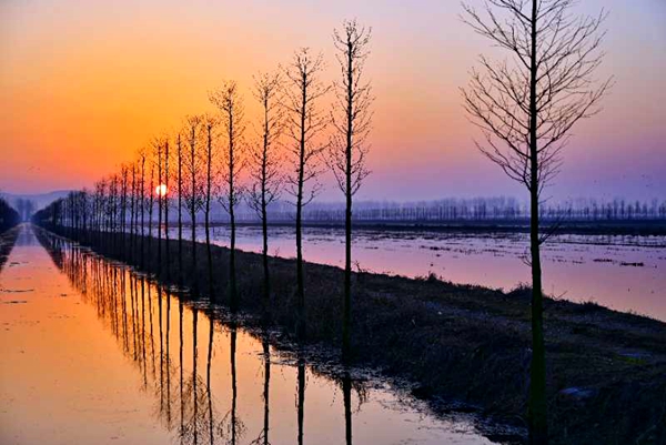 2月20日，在全椒县武岗镇荒草圩拍摄的春天日出景象。晋冬梅  摄.jpg