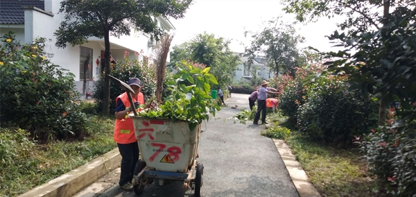 /uploads/image/2020/08/04/c76c71b74e4c5afc01051b577a8603df.jpg 六镇镇柴岗村保洁人员清理杂草.jpg