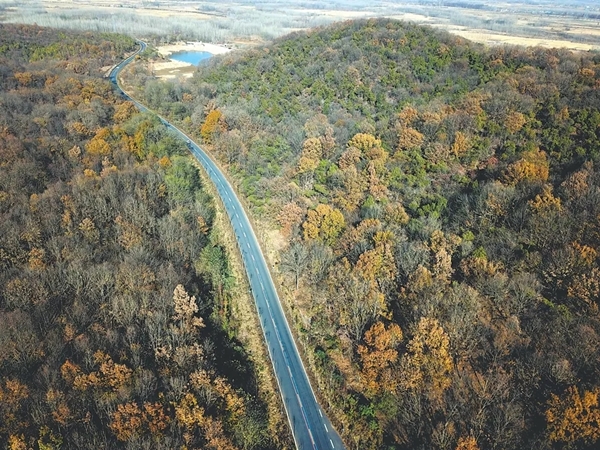 /uploads/image/2020/10/27/6dda1f1280ef805b2f0276154fe92c84.jpg 640 (1).webp (2).jpg