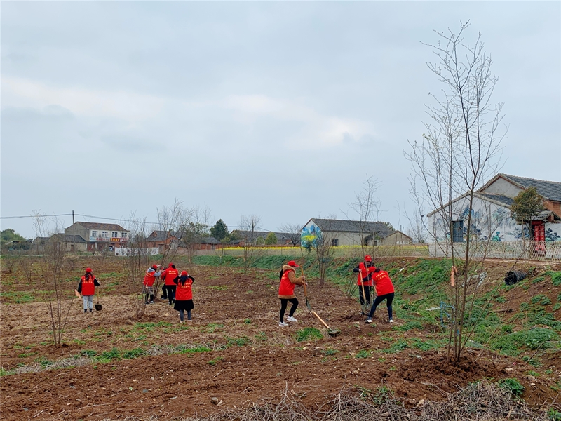 /uploads/image/2021/03/12/3699ee5085373e7c25c542f9855f9598.jpg 微信图片_20210312162837.jpg