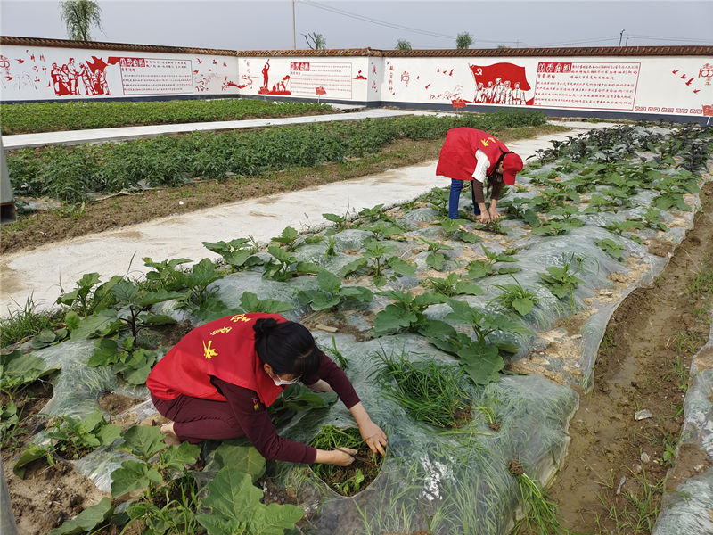 /uploads/image/2021/05/20/9b19abc7e85705f7a421d00d7ab41d1b.png 图片3.png