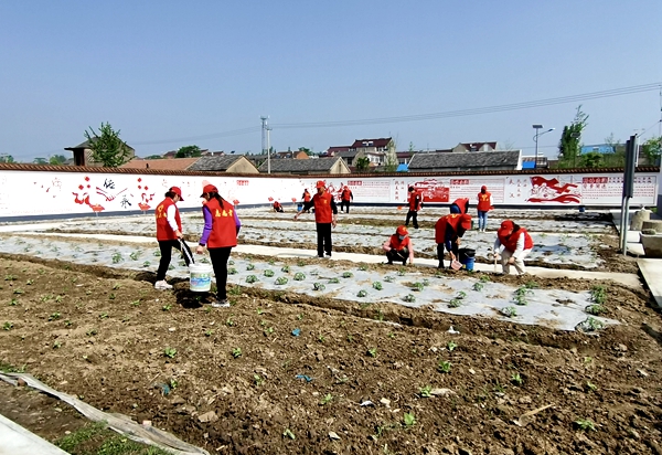 mmexport1626190513558.jpg mmexport1626190513558.jpg