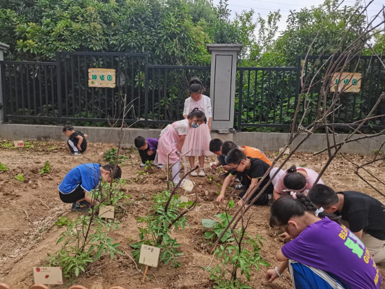 /uploads/image/2022/06/23/c3ddb75d38da01239090c70df6dd140e.png 图片.png