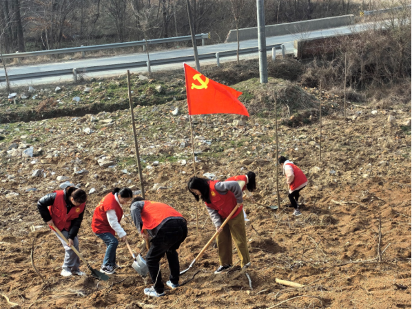 /uploads/image/2024/03/12/0966acbbf21923a257d8e6a251cf295f.png 图片.png