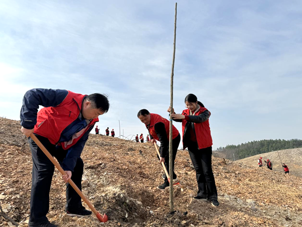 /uploads/image/2024/03/15/204a95ad03e6f05638ee4f56a342a593.png 图片2.png