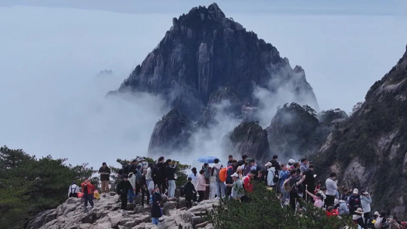 /uploads/image/2024/08/22/19aae4e5f02dadcc31a34fa7d26210c5.png 640.png