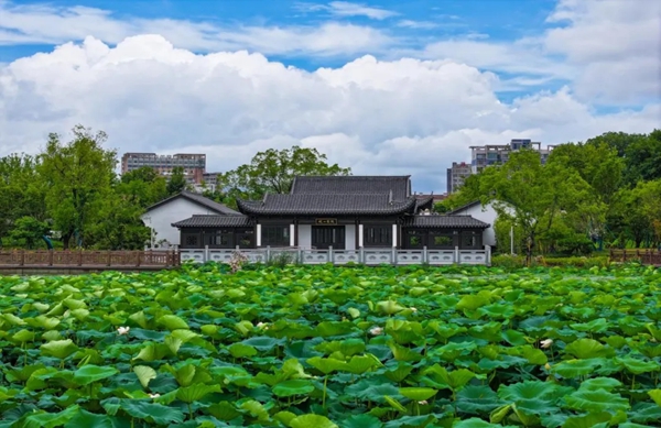 文明中国·安徽｜皖山书院“五堂”共育 激活城市文明细胞