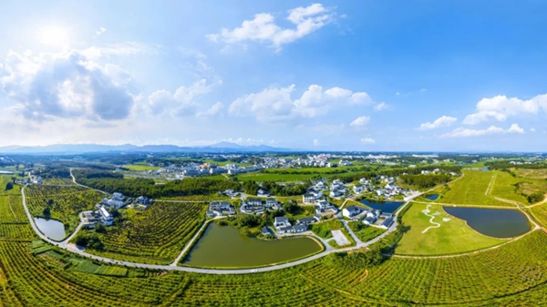 文明中国·安徽丨听见文明的心跳——安徽省精神文明建设活力图鉴