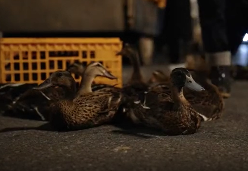 文明随手拍--暖心视频《城市苏醒》
