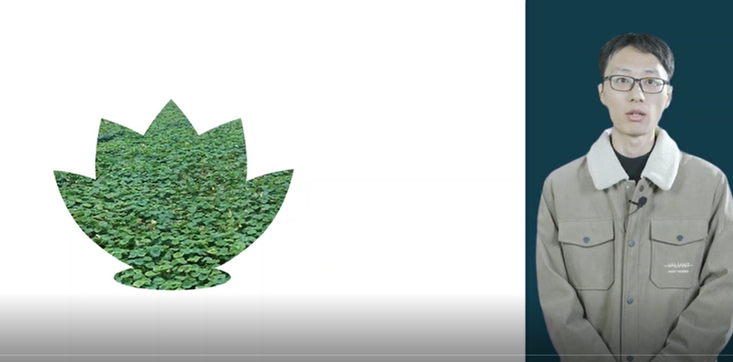 2025年新时代文明实践项目路演线上展播（八）