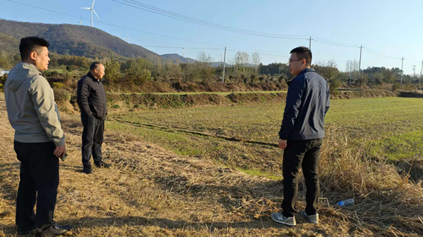 全椒县马厂镇：农技人员指导冬季小麦安全越冬