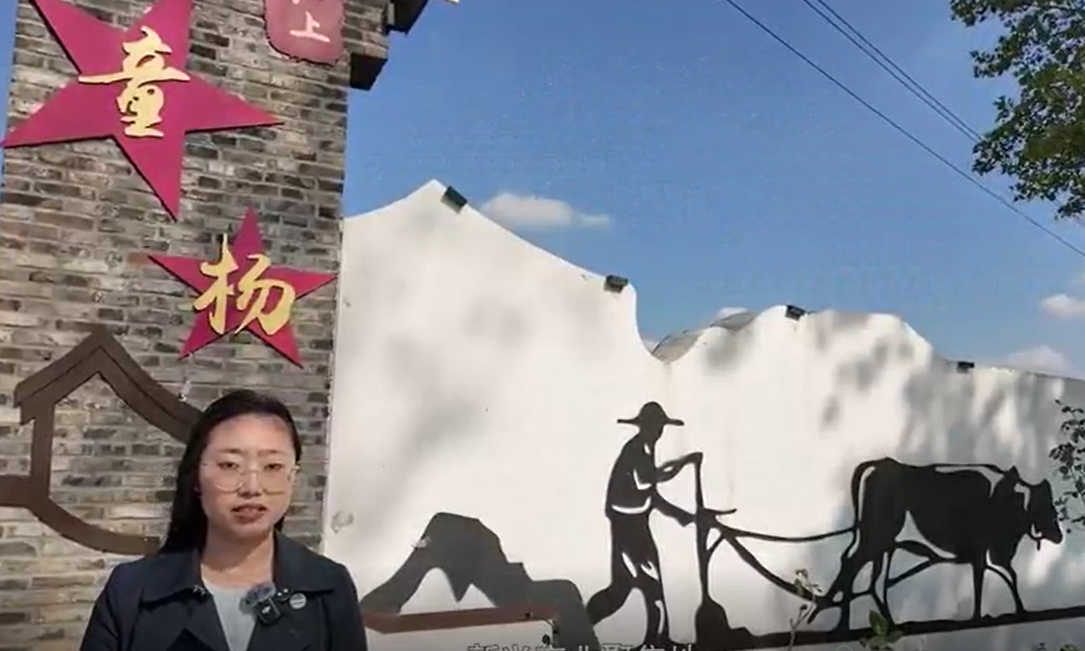 陌上童杨
